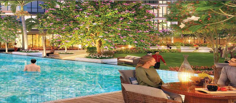 Regency Palms